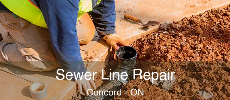  Sewer Line Repair Concord - ON