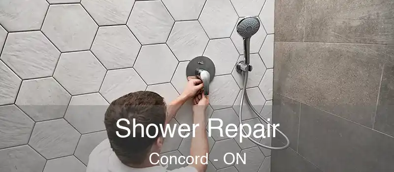  Shower Repair Concord - ON