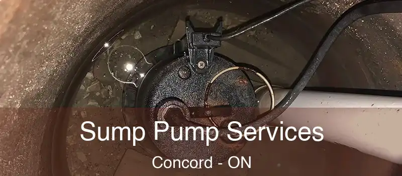  Sump Pump Services Concord - ON