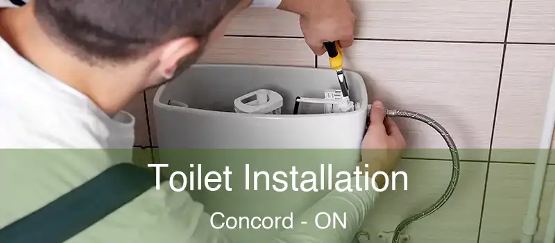  Toilet Installation Concord - ON
