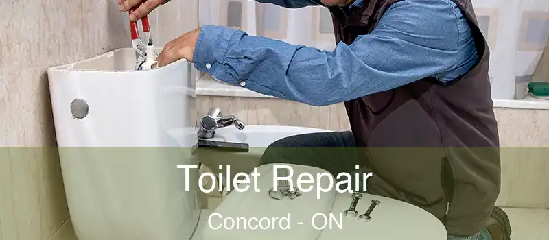  Toilet Repair Concord - ON