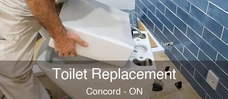  Toilet Replacement Concord - ON