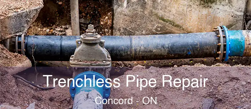  Trenchless Pipe Repair Concord - ON