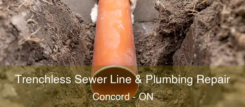  Trenchless Sewer Line & Plumbing Repair Concord - ON