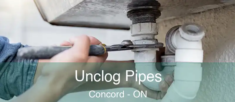  Unclog Pipes Concord - ON