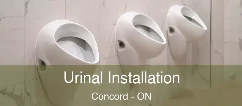  Urinal Installation Concord - ON
