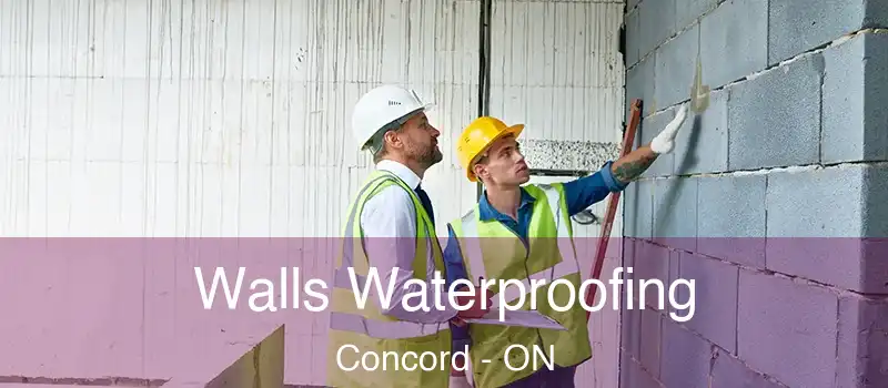  Walls Waterproofing Concord - ON