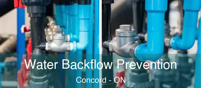  Water Backflow Prevention Concord - ON