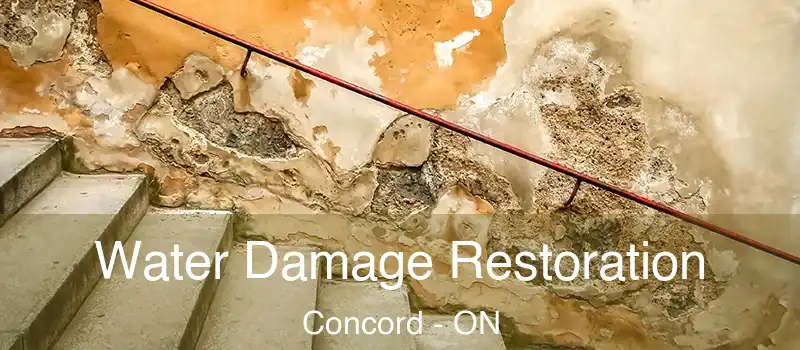  Water Damage Restoration Concord - ON