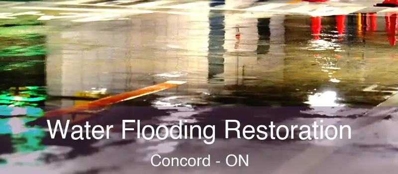  Water Flooding Restoration Concord - ON