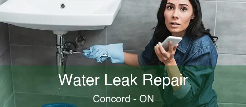  Water Leak Repair Concord - ON