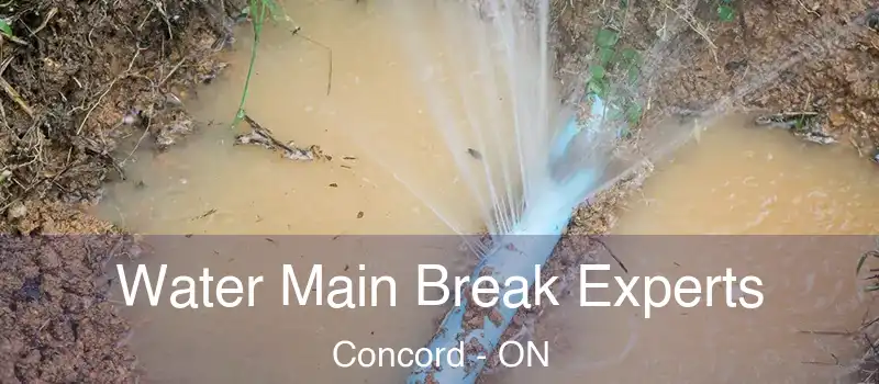  Water Main Break Experts Concord - ON