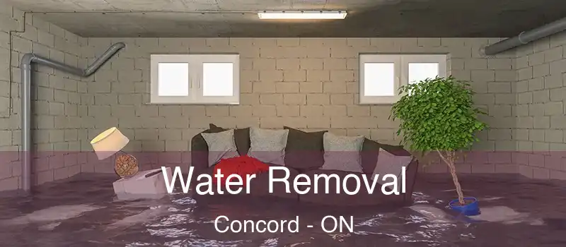  Water Removal Concord - ON