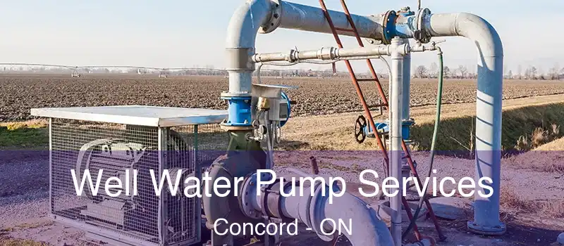  Well Water Pump Services Concord - ON